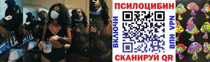 Псилоцибиновые грибы Cubensis  где купить   Лахденпохья 